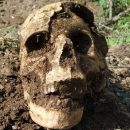 При раскопках в Ростовской области нашли останки солдата времен ВОВ