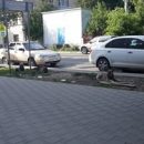 «Они держат нас в страхе»: самарцы объявили войну стаям бродячих собак в центре города