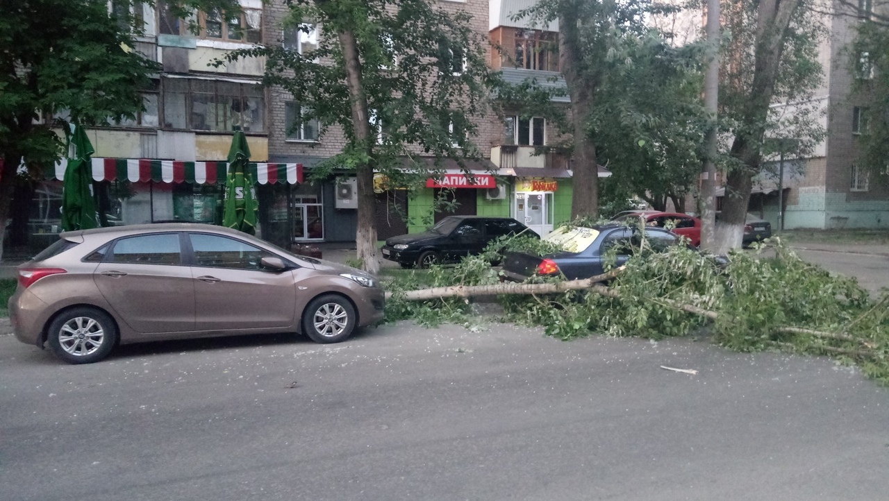 «Ласточке» нужна помощь «медиков»: в Самаре на иномарку рухнуло дерево